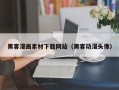 丽江黑客漫画素材下载网站（黑客动漫头像）