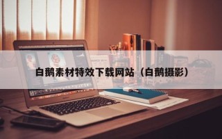 丽江白鹅素材特效下载网站（白鹅摄影）